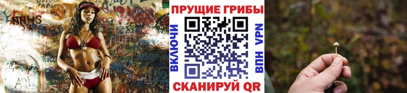 Галлюциногенные грибы GOLDEN TEACHER  Абаза 